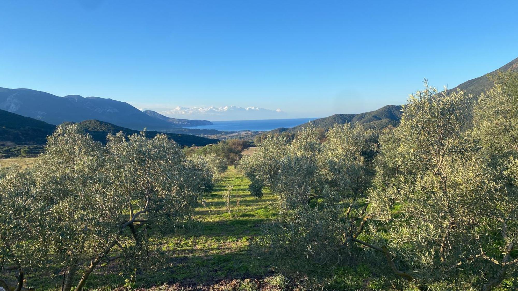 Agriturismo Il Ginepro Fluminimaggiore Exteriör bild