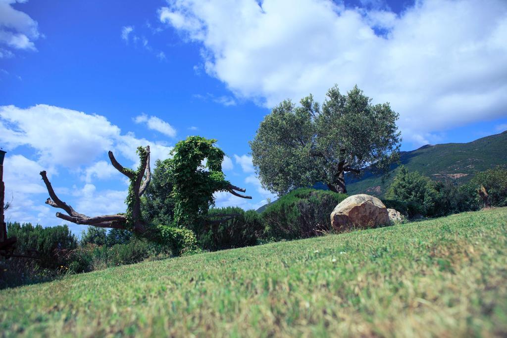 Agriturismo Il Ginepro Fluminimaggiore Exteriör bild