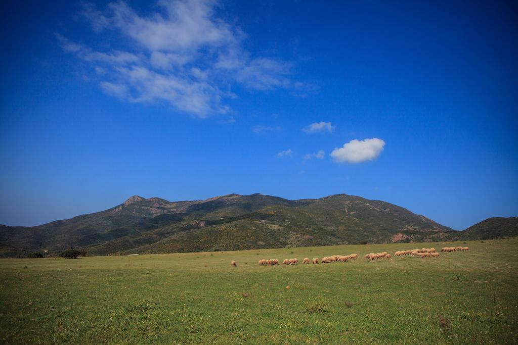 Agriturismo Il Ginepro Fluminimaggiore Exteriör bild