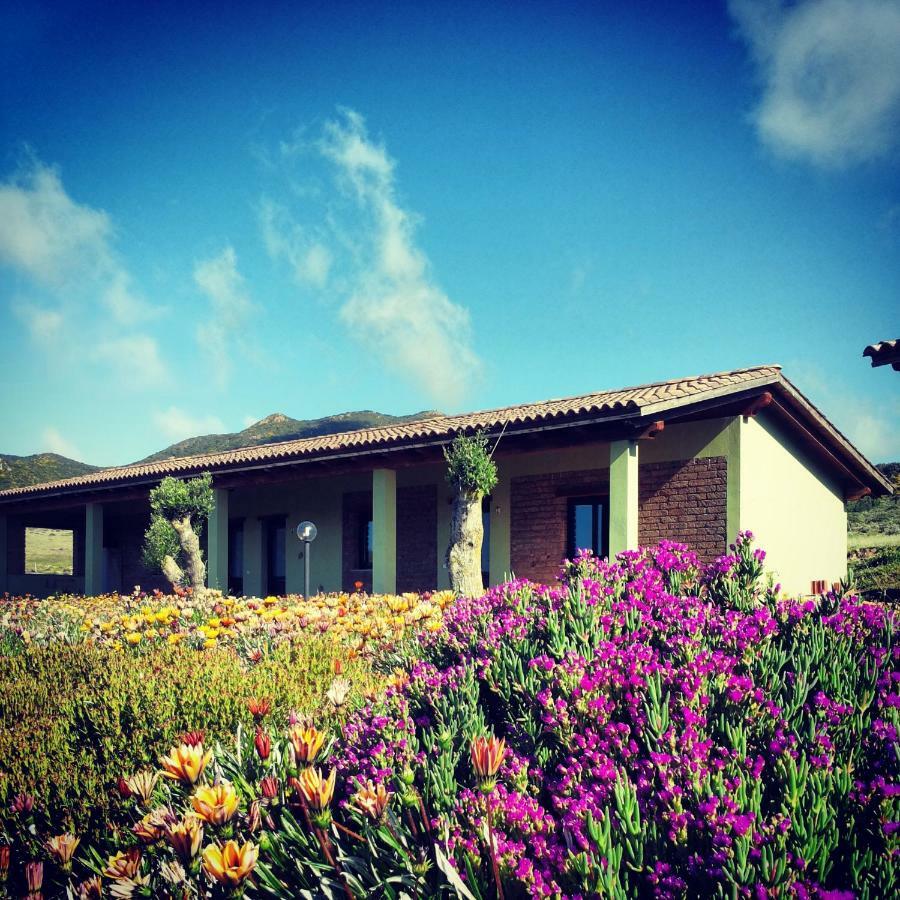 Agriturismo Il Ginepro Fluminimaggiore Exteriör bild